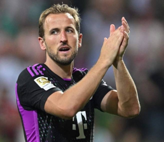 样具备稳定 样具备稳定