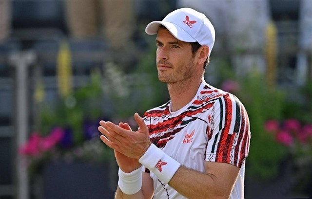 了解每支球 了解每支球